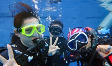 Bali Travel Online | New Bali Scuba - PADI e-Learning Open Water Course