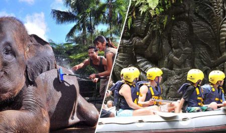 Bali Travel Online | Bali Adventure Tours - Bathe & Breakfast Tour + Elephant Safari Ride