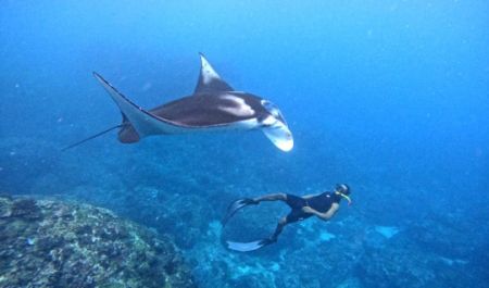 Bali Travel Online | Lembongan watersport - PACKAGE A SNORKELING DAY TRIP FROM BALI TO NUSA LEMBONGAN AND NUSA PENIDA)